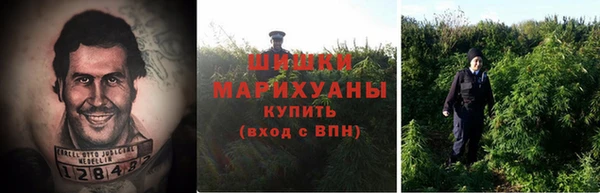 трава Бородино