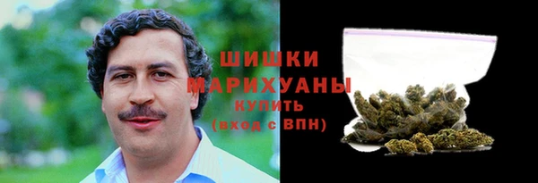 ГАЛЛЮЦИНОГЕННЫЕ ГРИБЫ Верея
