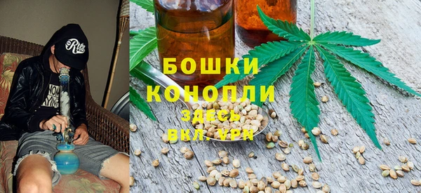 трава Бородино