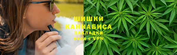 ГАЛЛЮЦИНОГЕННЫЕ ГРИБЫ Верея