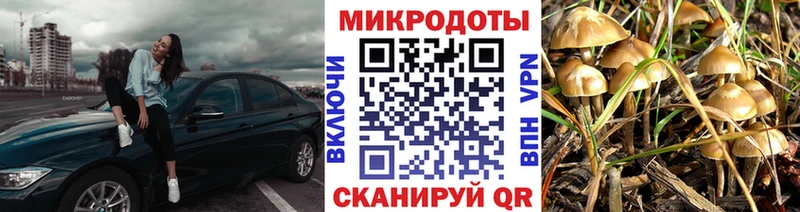 мориарти какой сайт  Ставрополь  Псилоцибиновые грибы мицелий 