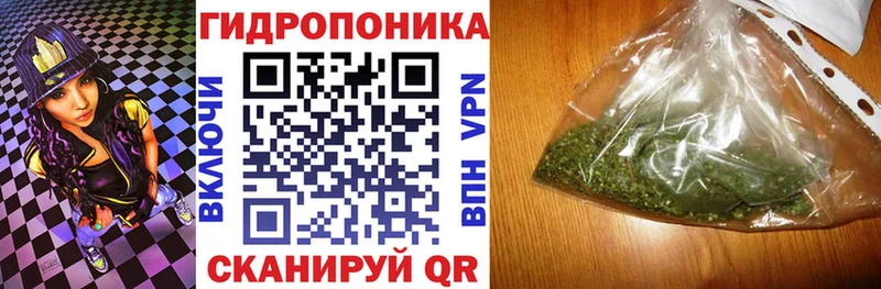 Марихуана сатива  гидра зеркало  Ставрополь 